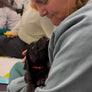 RESCUE DOG YOGA CLASS - TICKETS 🎟️