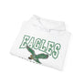 eagles hoodie