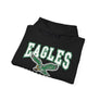 eagles hoodie