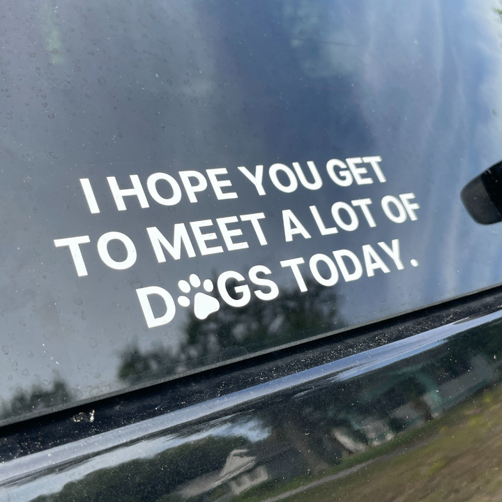 I Hope You Get to Meet A lot of Dogs Today - Vinyl Decal Sticker