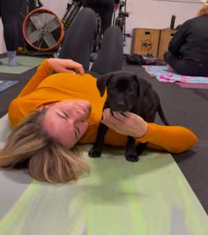 RESCUE DOG YOGA CLASS - TICKETS 🎟️