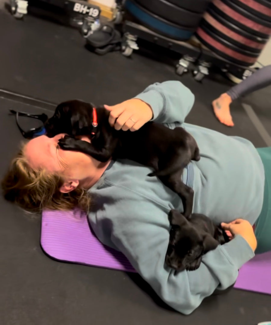 RESCUE DOG YOGA CLASS - TICKETS 🎟️