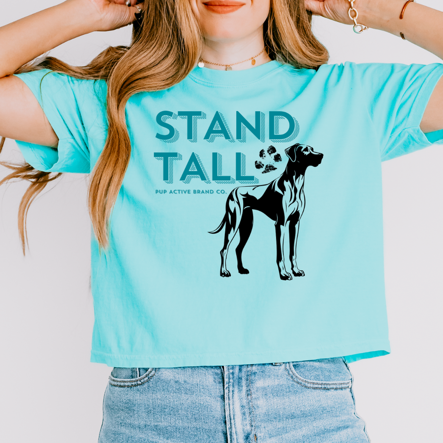 Stand Tall - Boxy Crop Tee